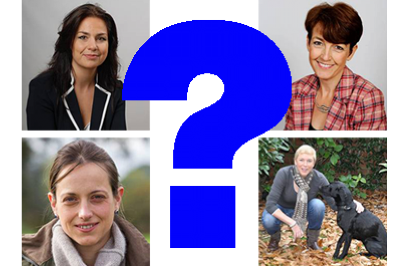 The four shortlisted for the South Cambridgeshire PPC are...